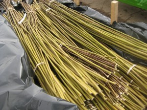 SRC willow rods
