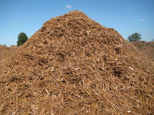 SRC billets in a 5 metre high windrow. These will reach 3)% moisture content in around 3 months!