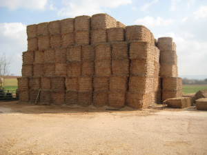 Miscanthus bales and chips, as well as processed forms of the fuel such as pellets and briquettes will be covered by the SFR.