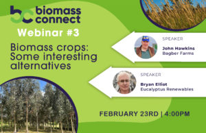 Biomass 