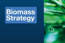 UK Biomass Strategy front cover